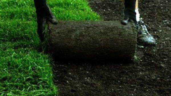 Как подготовить почву под газон?