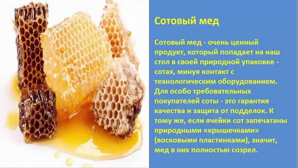 Лечебные свойства меда правильно использовать этот